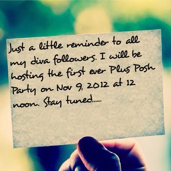🌸Plus Posh Party Nov 9 2012 at 12 noon