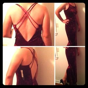 Red Velvet Satrapy Dress New With Tags!