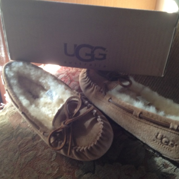 Ugg mocks