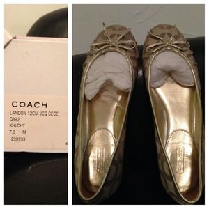 Gold coach shoes