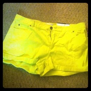 NWT. Short shorts.
