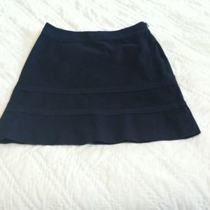 Ann Taylor Skirt