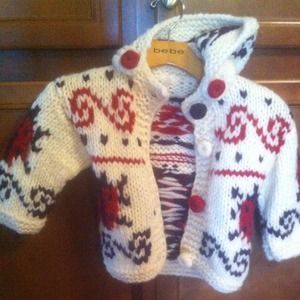 3T or 4T girls ladybug hoodie!