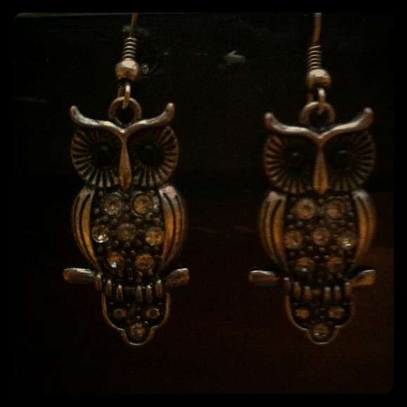 Owl earringsss