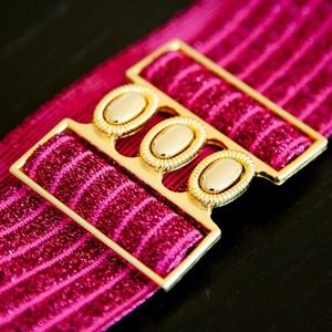 hot pink glittery belt