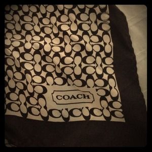 Silk Coach Scarf