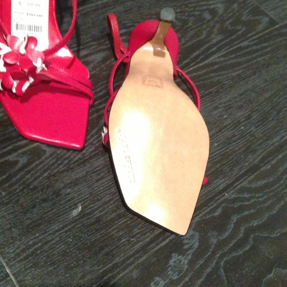 Charles David - Picture 3 of 3