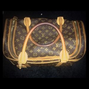 Louis Vuitton Dog Carrier