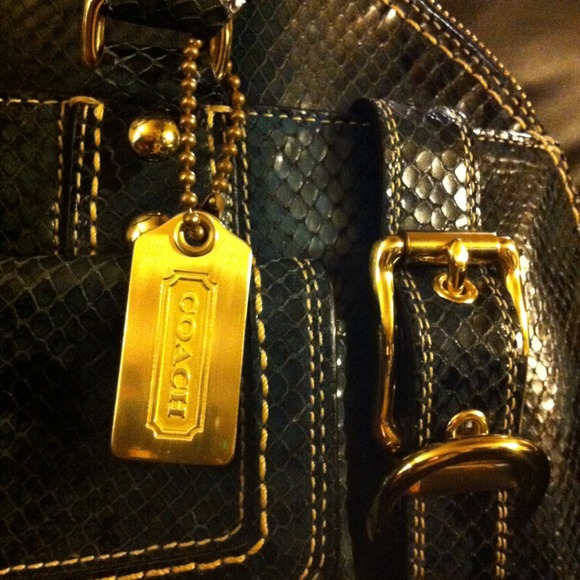 •VERY RARE• Coach Miranda Python Satchel - Picture 2 of 4