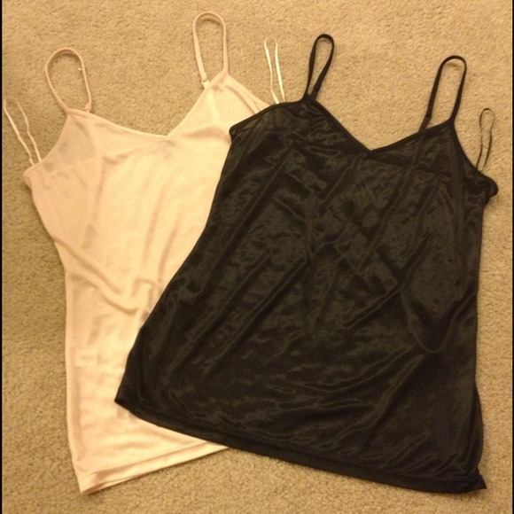 2 silk under garments, black sheer shirt, dress