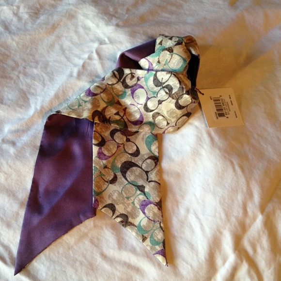 Coach ponytail scarf