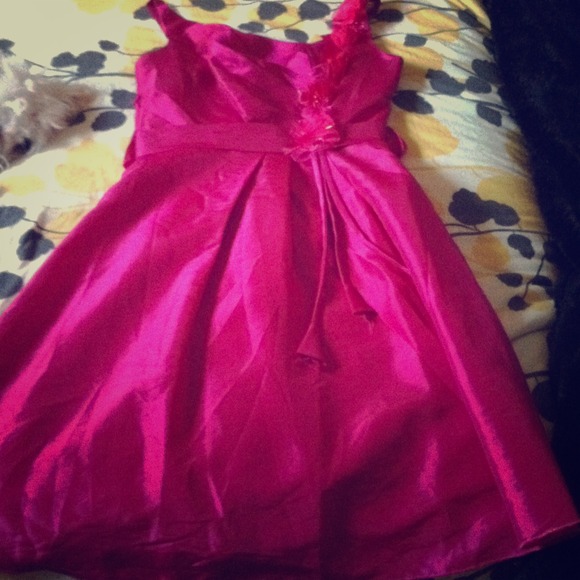 REDUCED⬇⬇Hot pink dress