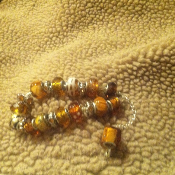 Pandora like chain Bracelet.