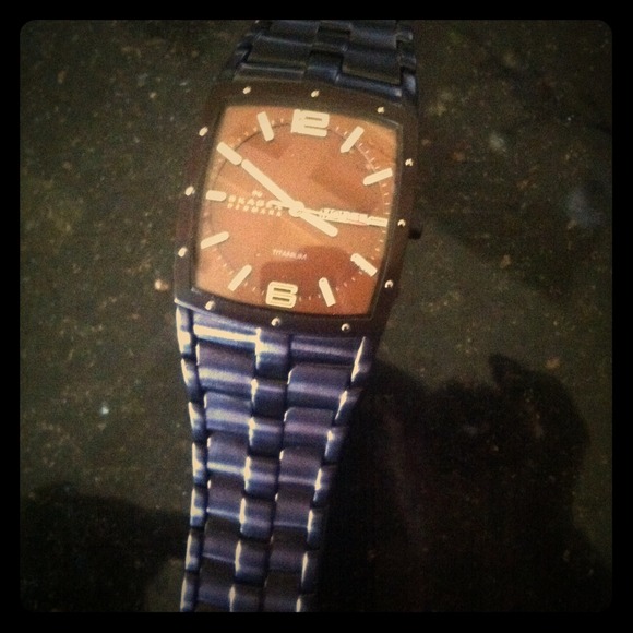 Skagen Titanium Brown Watch