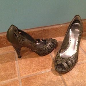 BCBGirls alligator shows