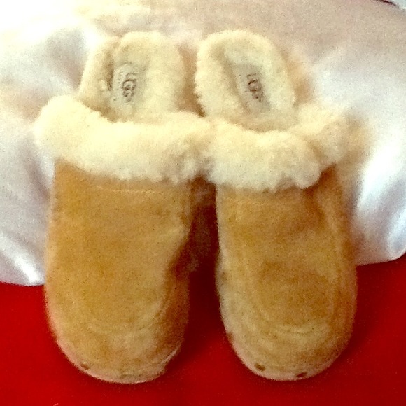 Authentic Chestnut Uggs clogs size 6