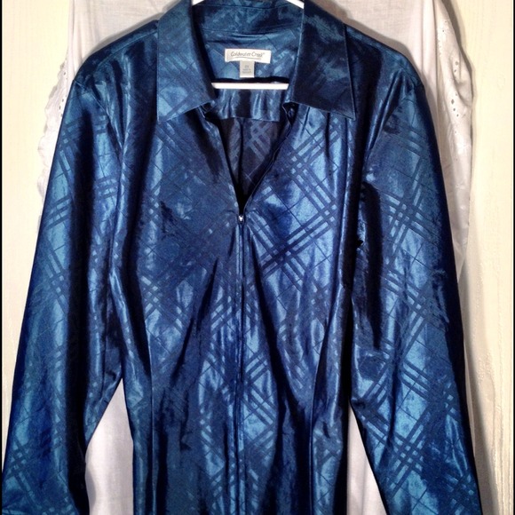 Coldwater Creek beautiful silk shirt.