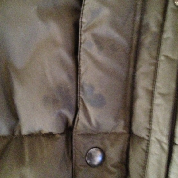 POLO - Picture 2 of 4