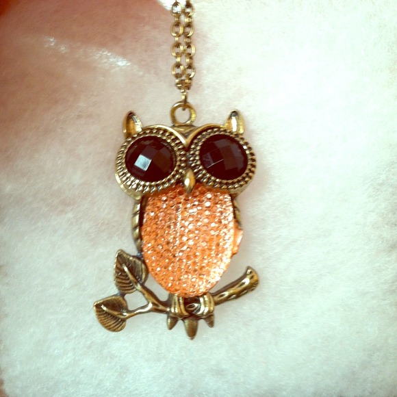 BRAND NEW 18-20inch owl necklace