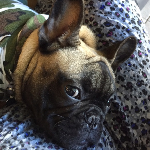 Meet the Posher π..Welcome to my  closet. - Picture 3 of 4