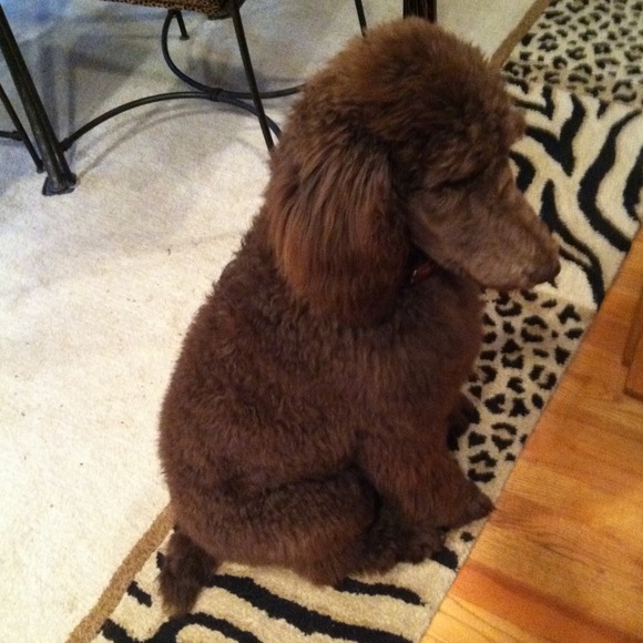 Help  my Mom pay for my broken leg! - Picture 2 of 13