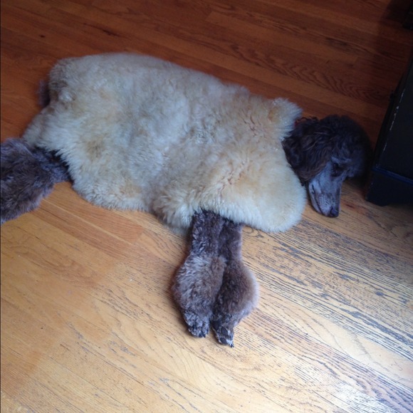 Help  my Mom pay for my broken leg! - Picture 4 of 13