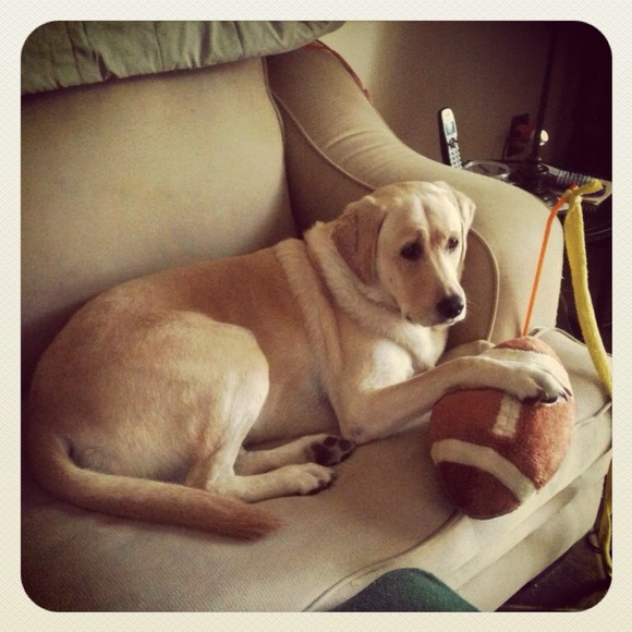 We are here to serve & spread God’s love. - Picture 5 of 15