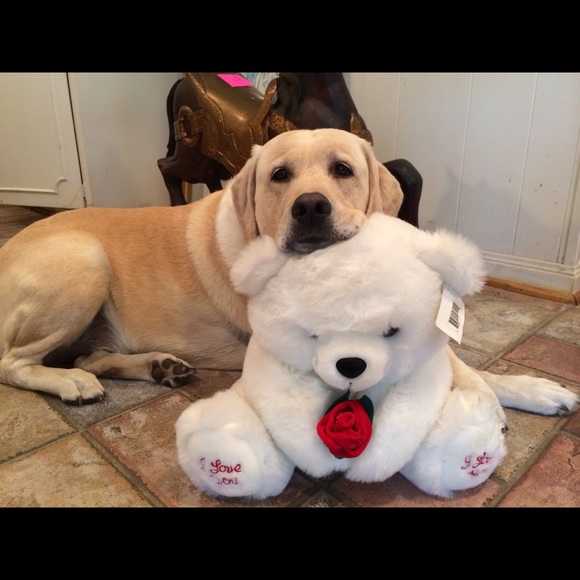 We are here to serve & spread God’s love. - Picture 7 of 15