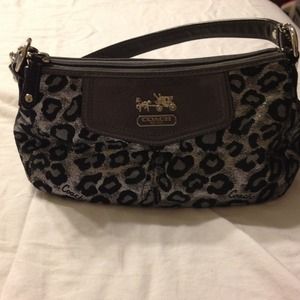 Authentic Coach leopard purse and matching wallet
