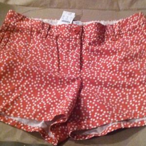 Poppy polka dotted shorts