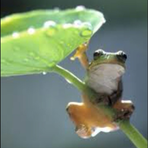 Looking up!