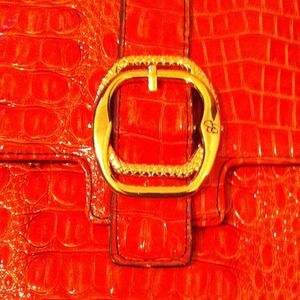 ✅SOLD ✅✂REDUCED✂ Jessica Simpson clutch