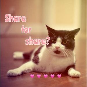 💚Sharing is caring💚