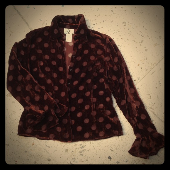 Ice velveteen long sleeved chocolate brown blouse