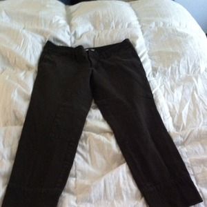 The Loft Cropped riding pants.