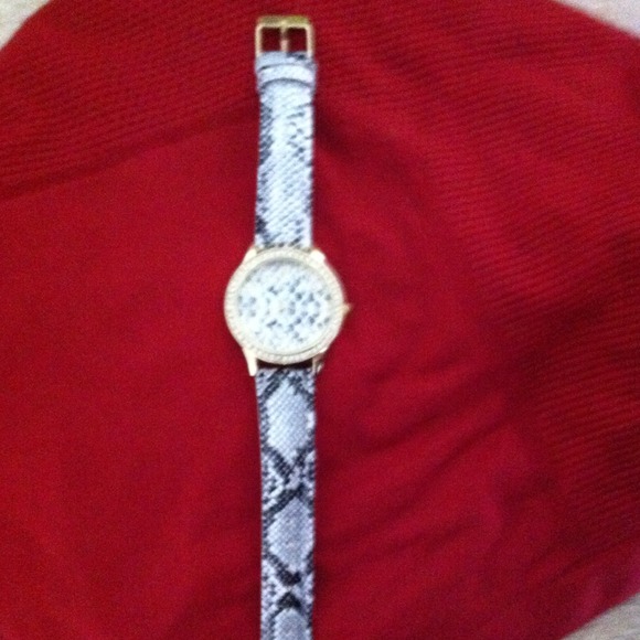 ✂✂✂PRICE CUT✂✂✂Silver Python band watch - Picture 3 of 4