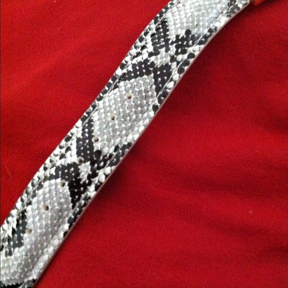 ✂✂✂PRICE CUT✂✂✂Silver Python band watch - Picture 4 of 4