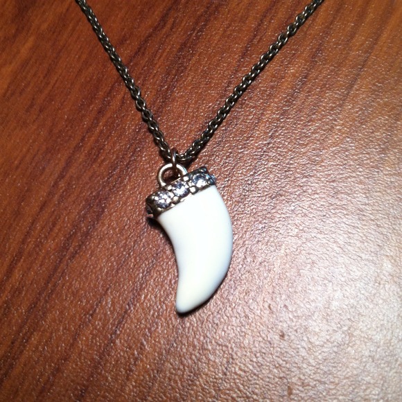 Tooth necklace
