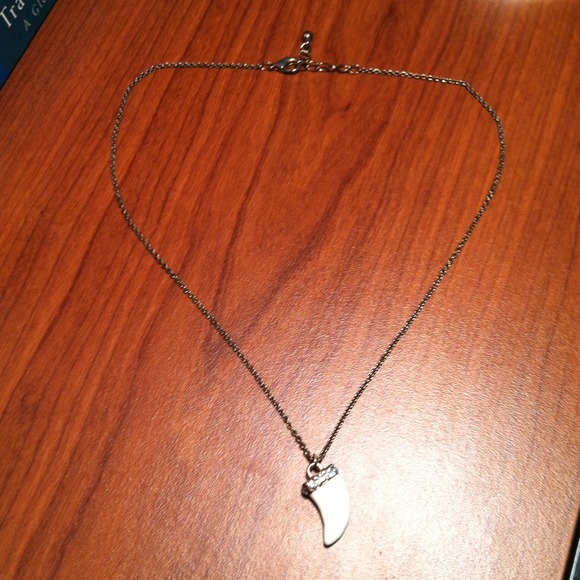 Tooth necklace - Picture 2 of 4