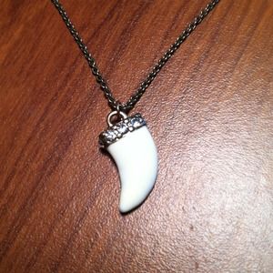 Tooth necklace
