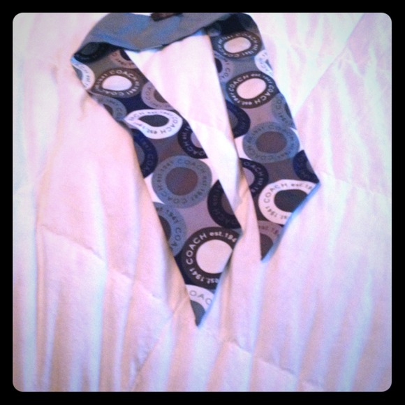 Coach Bag scarf