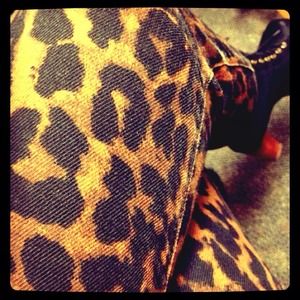 Leopard jean