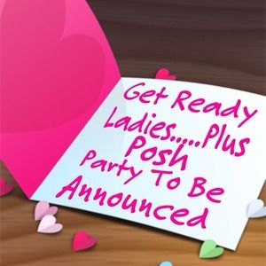 Seasons Greeting Posh Plus Party