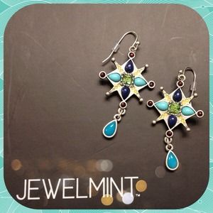 Brand NEW earrings by Jewelmint