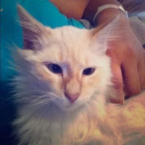 the princess of poshmark lmao