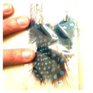 Blue Feather Earrings