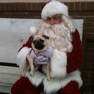 My little helper lol !!!