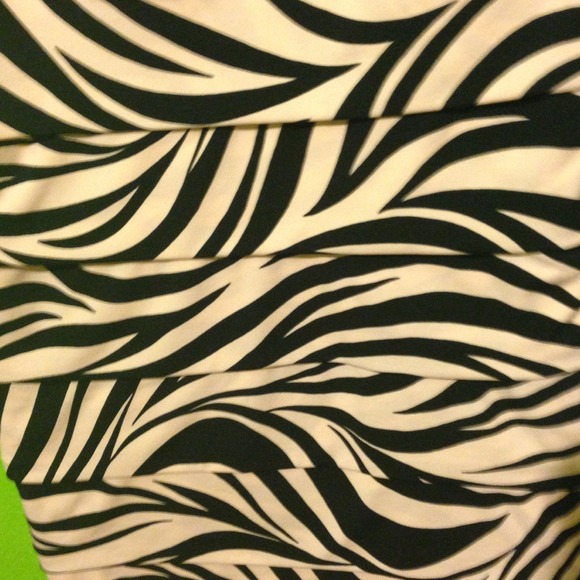 Burlington Coat Factory- Cream & black zebra dress - Picture 3 of 3