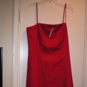 Ann Taylor cotton/silk a-line dress. New with tags