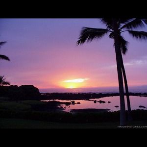 Bundle for @catorbeck